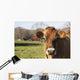 Jersey Cows Autumn Pasture Wall Decal Design 1