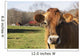 Jersey Cows Autumn Pasture Wall Decal Design 1
