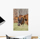 Jersey Cow Autumn Pasture Wall Decal