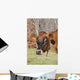 Jersey Cow Autumn Pasture Wall Decal