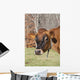 Jersey Cow Autumn Pasture Wall Decal
