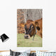 Jersey Cow Autumn Pasture Wall Decal
