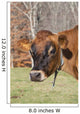 Jersey Cow Autumn Pasture Wall Decal