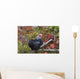 Bantam Black Cochin Rooster Wall Decal