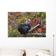 Bantam Black Cochin Rooster Wall Decal