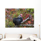Bantam Black Cochin Rooster Wall Decal