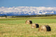 Three Hay Bales Wall Decal