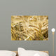 Up Golden Ripe Barley Wall Decal