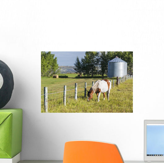 White and Brown Horse Wall Decal