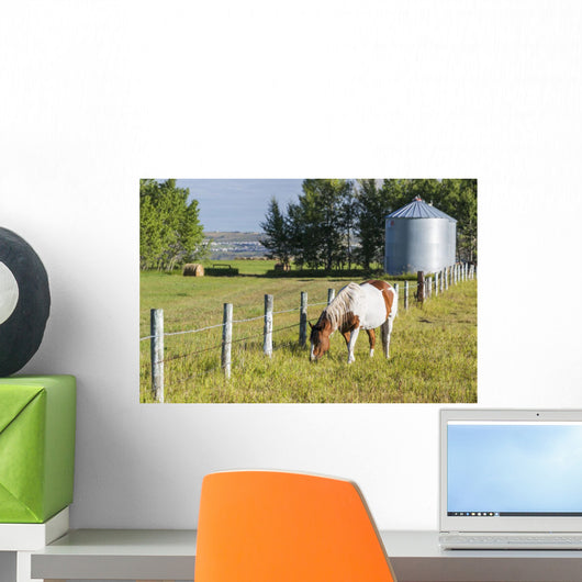 White and Brown Horse Wall Decal