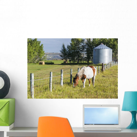 White and Brown Horse Wall Decal