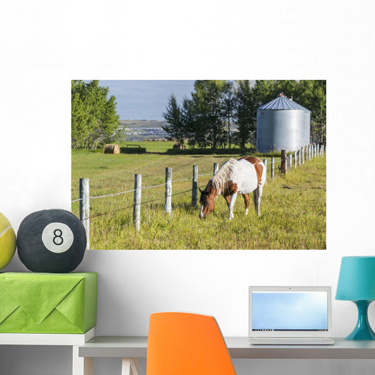 White and Brown Horse Wall Decal