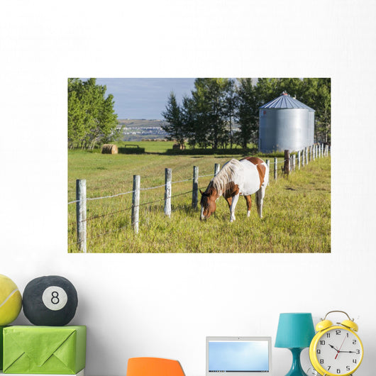 White and Brown Horse Wall Decal