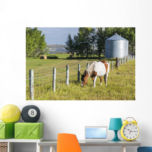 White and Brown Horse Wall Decal