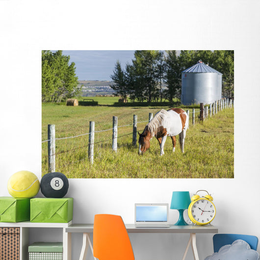 White and Brown Horse Wall Decal