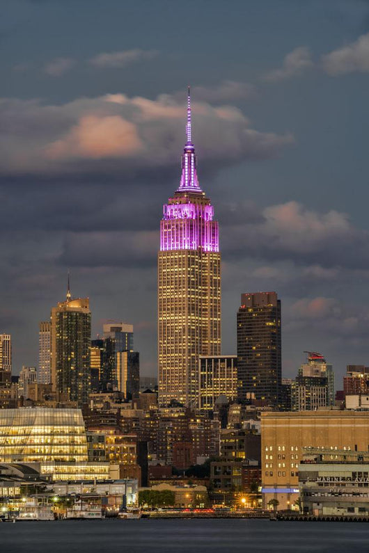 Empire State Building Wall Decal Design 1