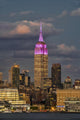 Empire State Building Wall Decal Design 1