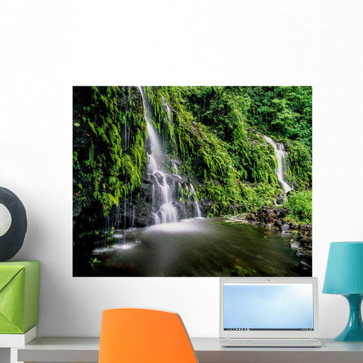 Waterfall Southeast Coast Upolu Wall Decal