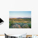 Mulla Mulla Flowers with Wall Decal