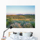 Mulla Mulla Flowers with Wall Decal