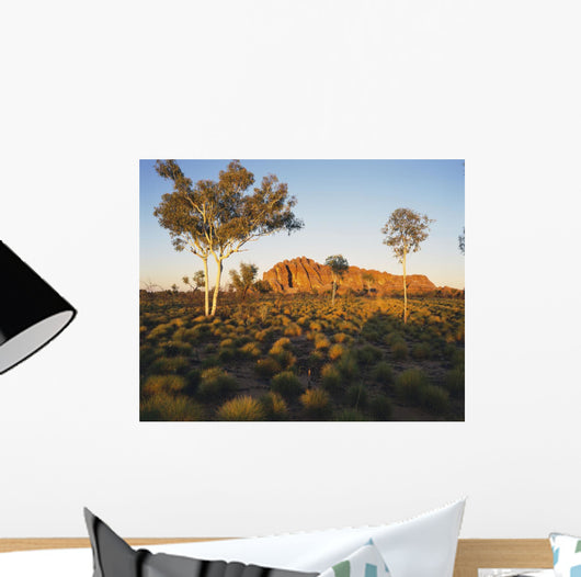 Outback Australia with Rock Wall Decal