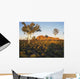 Outback Australia with Rock Wall Decal