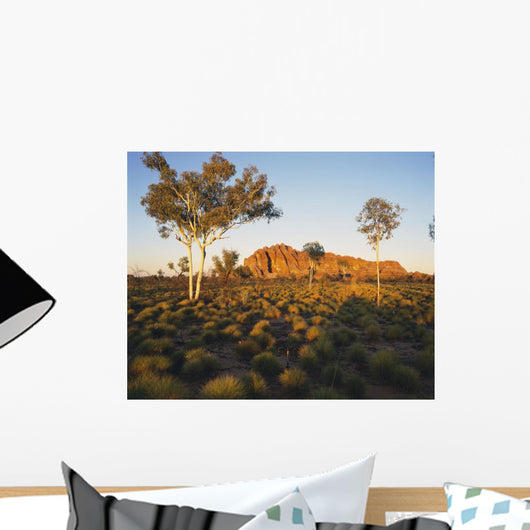 Outback Australia with Rock Wall Decal