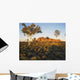 Outback Australia with Rock Wall Decal