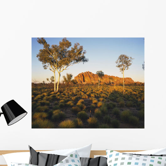 Outback Australia with Rock Wall Decal