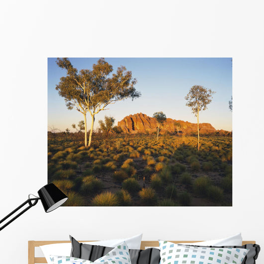 Outback Australia with Rock Wall Decal