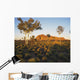 Outback Australia with Rock Wall Decal