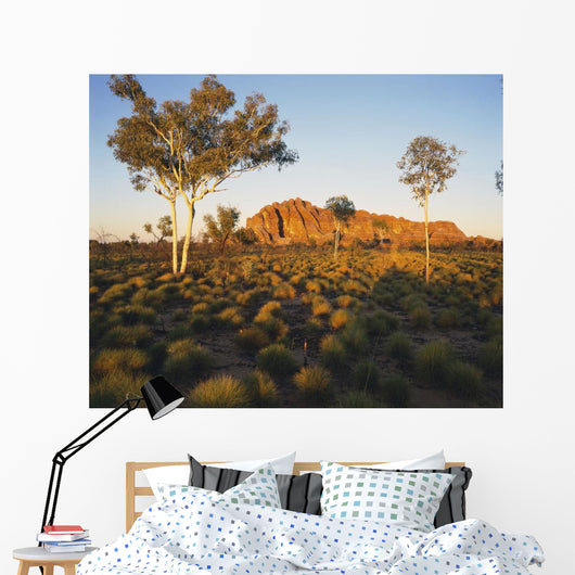 Outback Australia with Rock Wall Decal