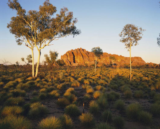 Outback Australia with Rock Wall Decal