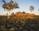 Outback Australia with Rock Wall Decal