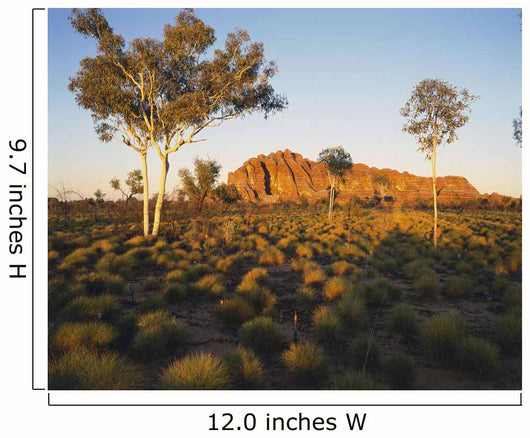 Outback Australia with Rock Wall Decal