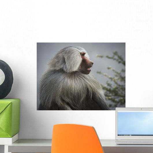 Mountain Baboon Wall Decal