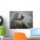 Mountain Baboon Wall Decal