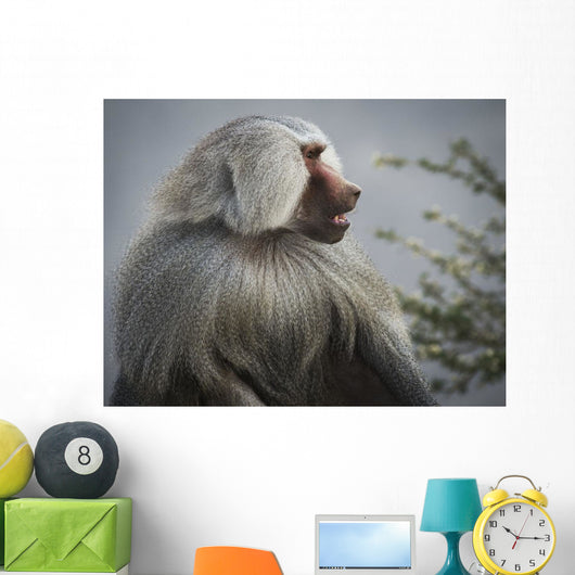 Mountain Baboon Wall Decal