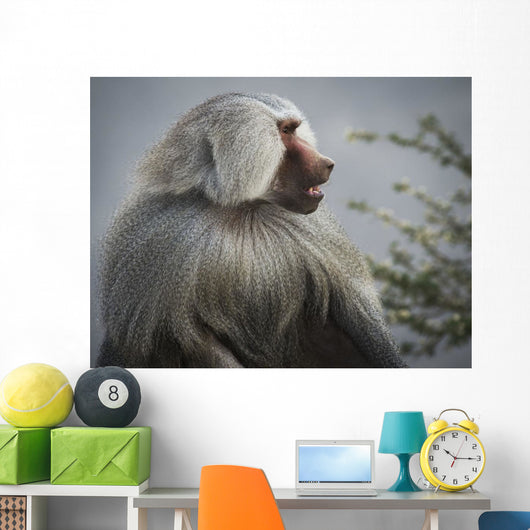 Mountain Baboon Wall Decal