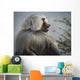 Mountain Baboon Wall Decal