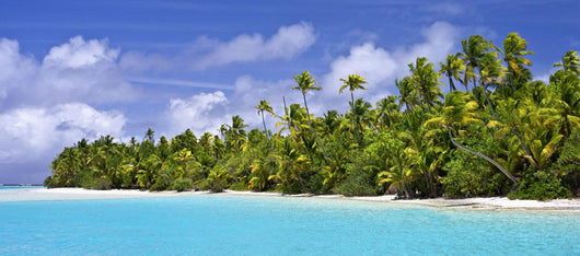Remote Island near Barefoot Wall Decal