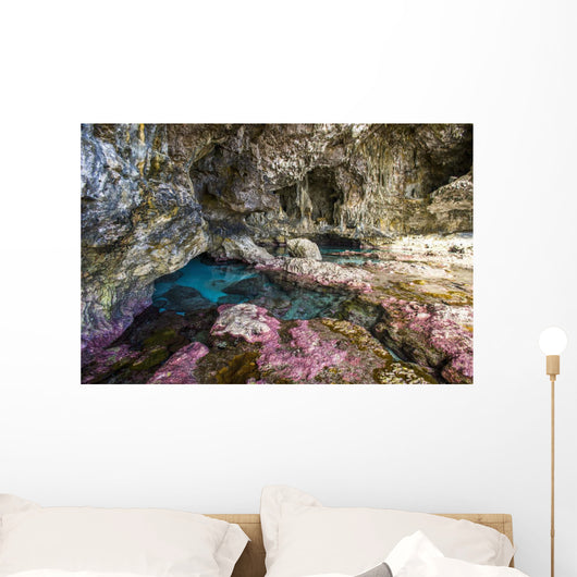 Soft Corals Decorate Ocean Wall Decal Design 2