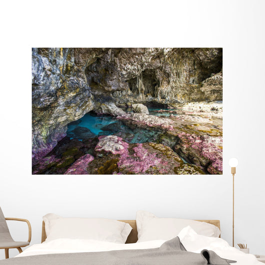 Soft Corals Decorate Ocean Wall Decal Design 2