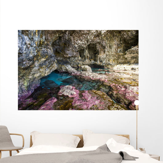 Soft Corals Decorate Ocean Wall Decal Design 2