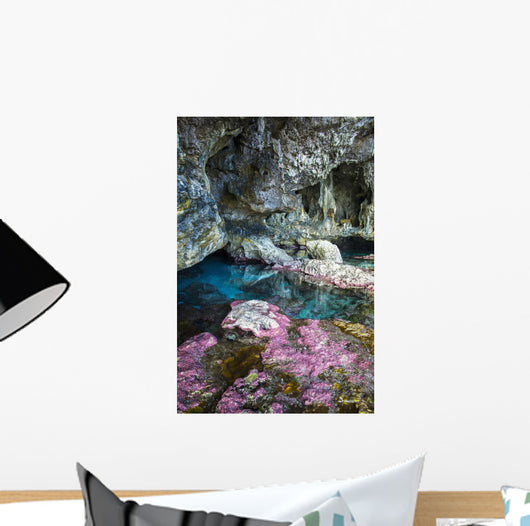 Soft Corals Decorate Ocean Wall Decal Design 1