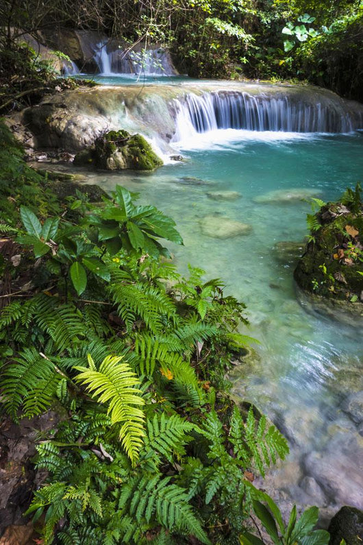 Mele Maat Waterfall Wall Decal