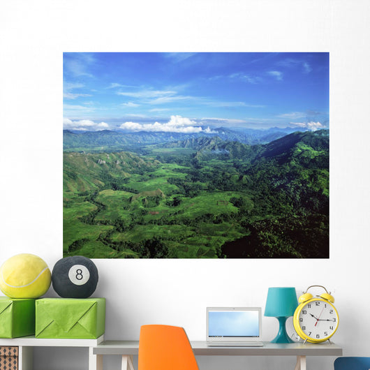 Aerial Highlands Wall Decal