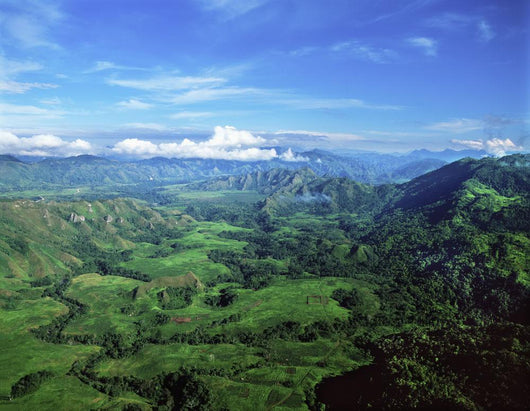 Aerial Highlands Wall Decal
