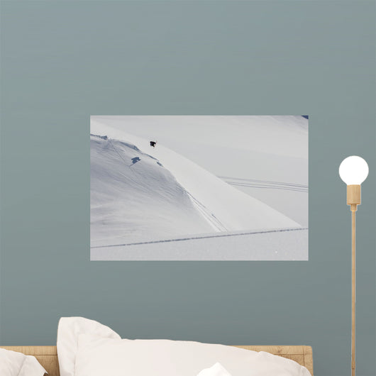 Professional Snowboarder Wall Decal Design 1