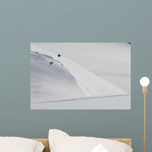 Professional Snowboarder Wall Decal Design 1